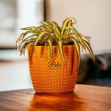 Load image into Gallery viewer, Basket Planter
