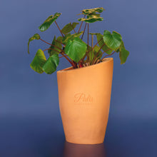Load image into Gallery viewer, Big Woobly Planter
