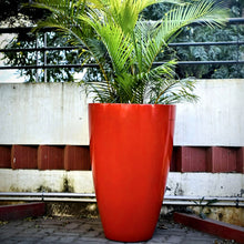 Load image into Gallery viewer, Conical Planter 3 x2

