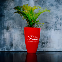 Load image into Gallery viewer, Conical Planter 3 x2
