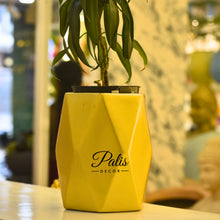 Load image into Gallery viewer, GEOMETRIC PLANTER

