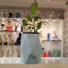 Load image into Gallery viewer, GEOMETRIC PLANTER
