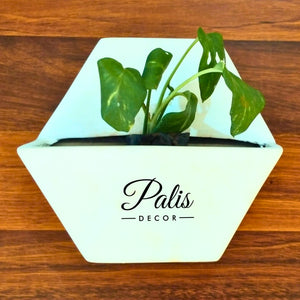 Diamond Hanging Planter