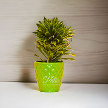Load image into Gallery viewer, Pine Apple Planter
