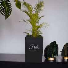 Load image into Gallery viewer, Square Planter 25 Inch Height
