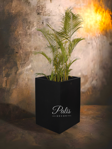 Square Planter 36 Inch Height