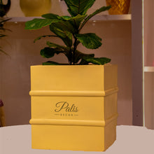 Load image into Gallery viewer, Medium Square Planter A2
